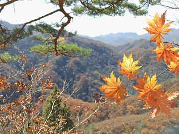 太陽(yáng)能風(fēng)能發(fā)電系統(tǒng)，綠色能源融合，太陽(yáng)能與風(fēng)能發(fā)電系統(tǒng)創(chuàng)新解決方案